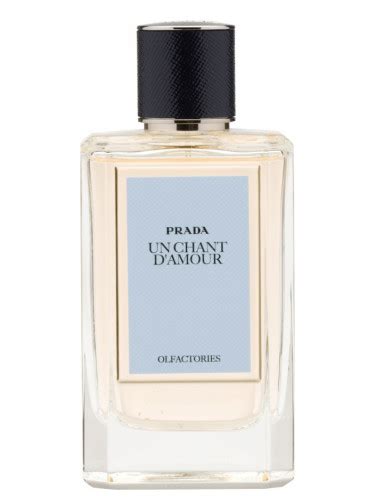 prada chanta|Un Chant D’Amour Prada for women and men .